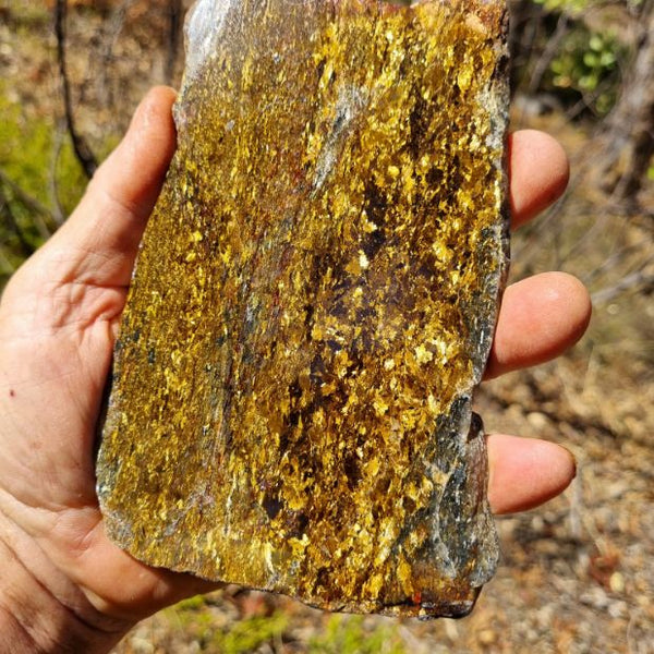 Polished Golden Amphibolite slab GA132