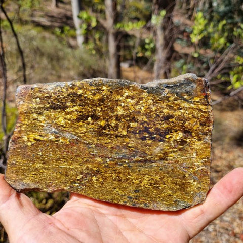 Polished Golden Amphibolite slab GA132