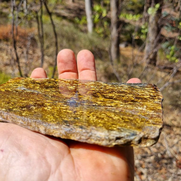 Polished Golden Amphibolite slab GA132