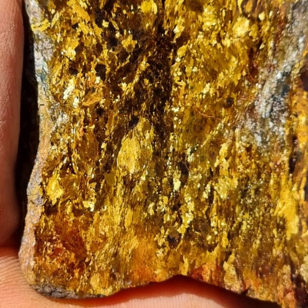 Polished Golden Amphibolite slab GA132