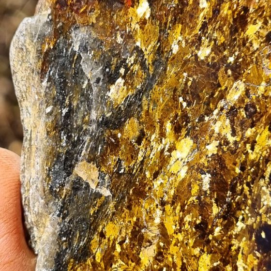 Polished Golden Amphibolite slab GA132