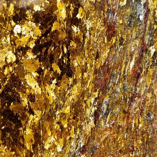 Polished Golden Amphibolite slab GA132