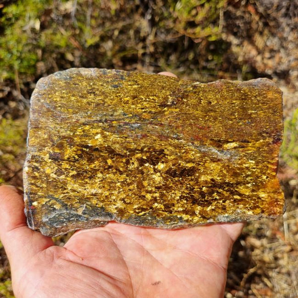 Polished Golden Amphibolite slab GA132