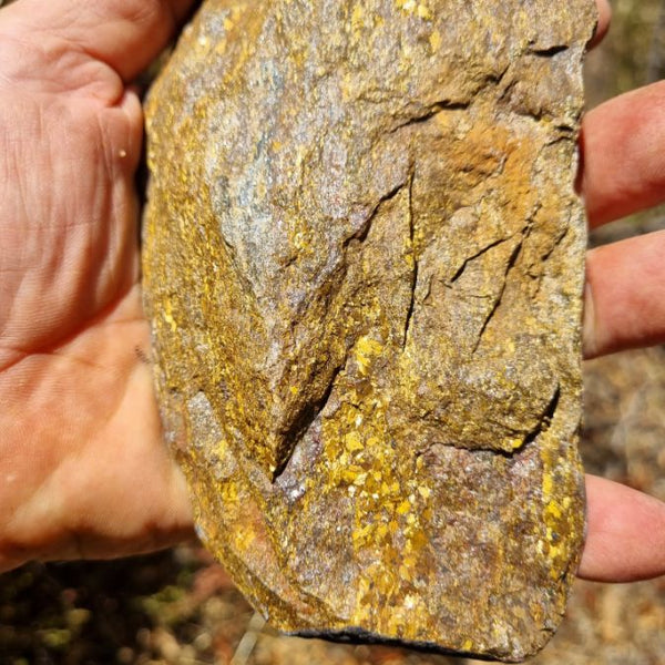 Polished Golden Amphibolite GA131