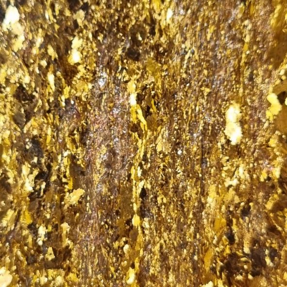 Polished Golden Amphibolite GA131