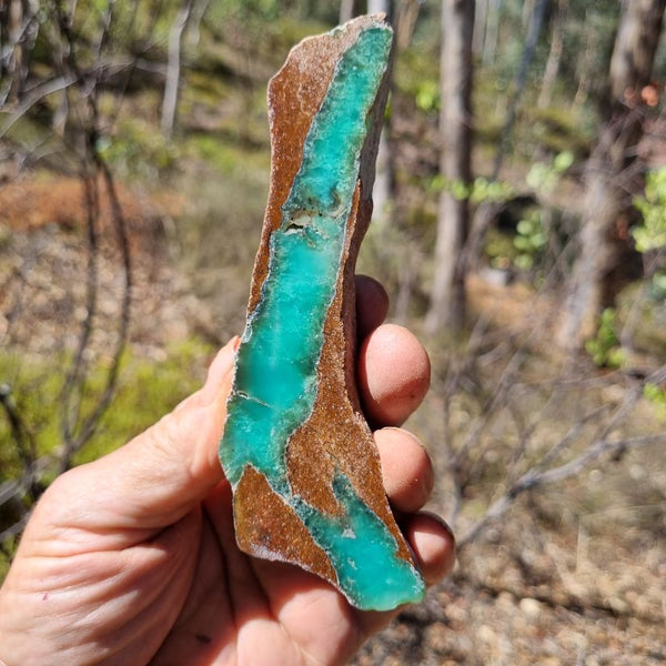 Polished Chrysoprase CH402