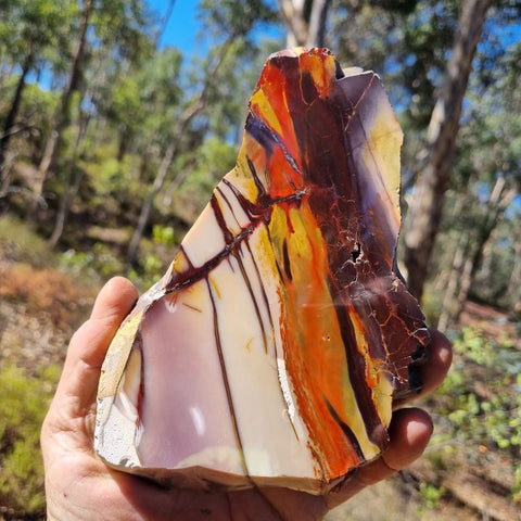 Polished Mookaite slab MK339