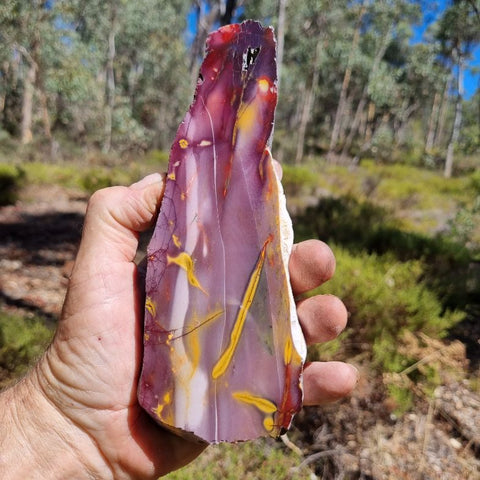 Polished Mookaite slab MK343