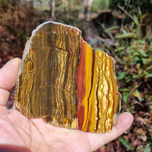 Polished Tiger Eye slab TE371