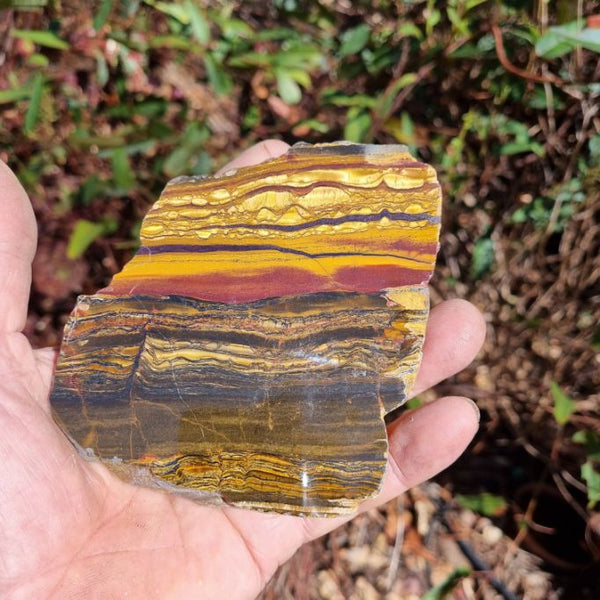 Polished Tiger Eye slab TE371