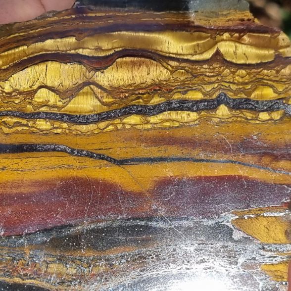 Polished Tiger Eye slab TE371