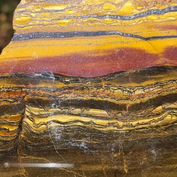 Polished Tiger Eye slab TE371