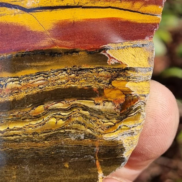 Polished Tiger Eye slab TE371