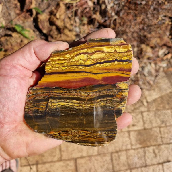 Polished Tiger Eye slab TE371