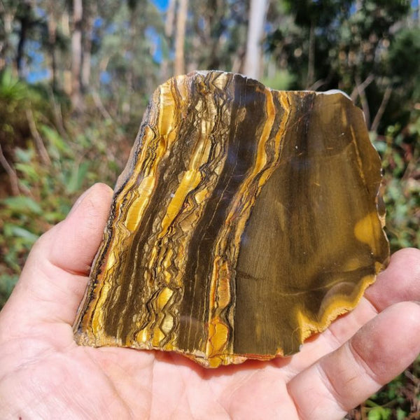 Polished Tiger Eye slab TE372