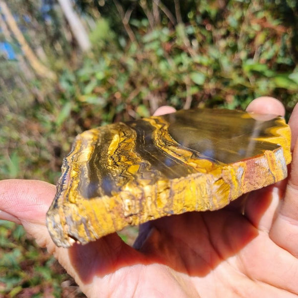 Polished Tiger Eye slab TE372