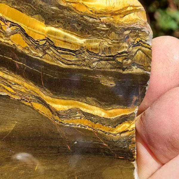 Polished Tiger Eye slab TE372