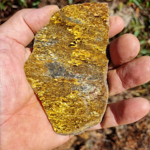 Polished Golden Amphibolite slab GA133