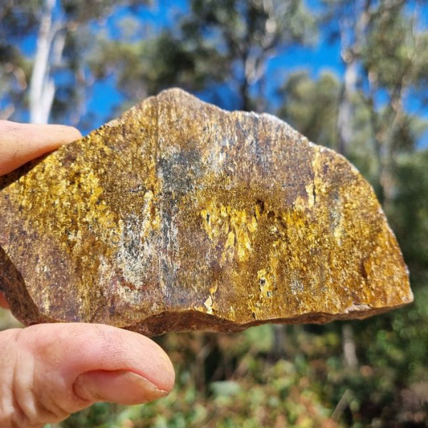 Polished Golden Amphibolite slab GA133