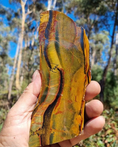 Polished Tiger Eye slab TE373