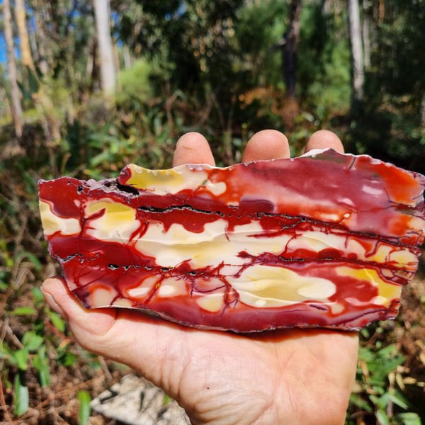 Polished Mookaite slab MK345