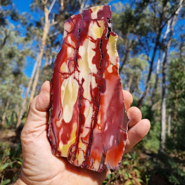 Polished Mookaite slab MK345