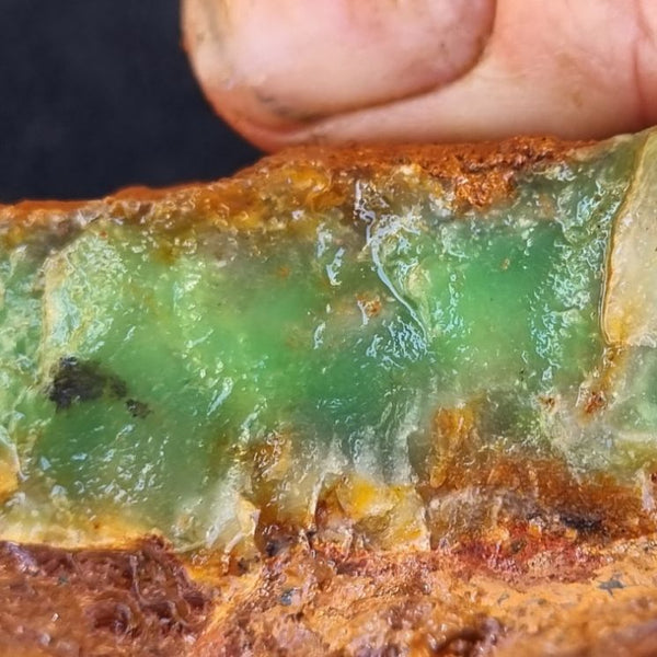 Chrysoprase rough.  CHR 164