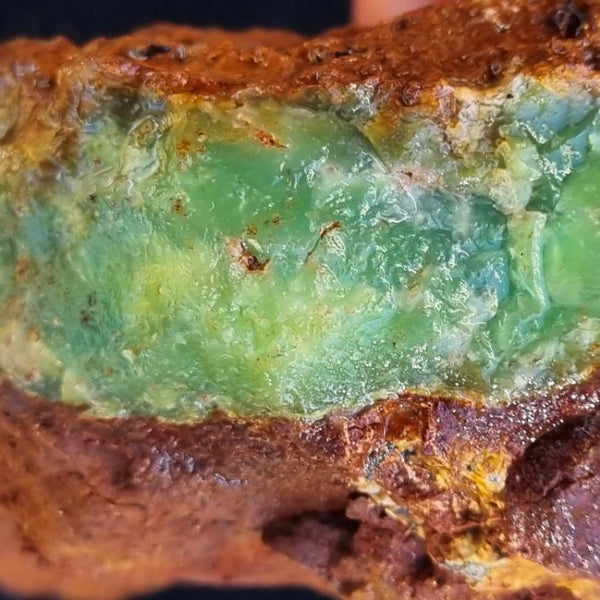 Chrysoprase rough.  CHR 164