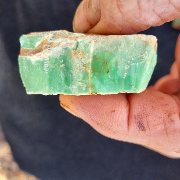 Variscite rough. VR422