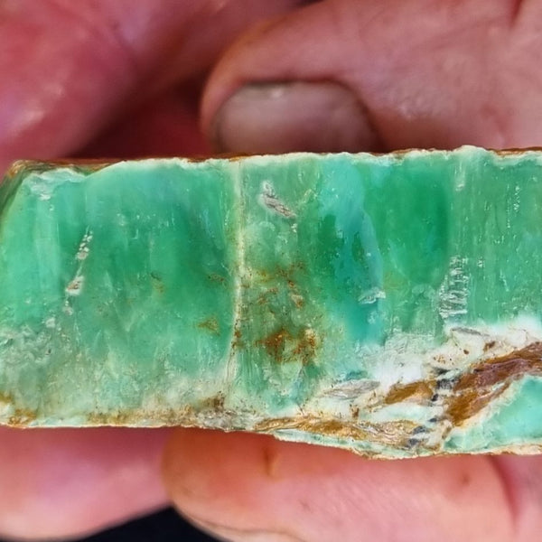 Variscite rough. VR422