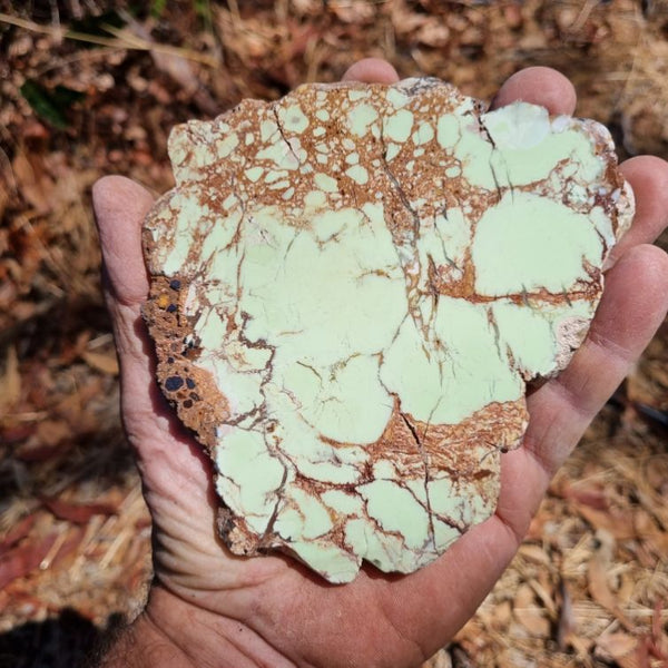 Polished Magnesite slab. MAP157