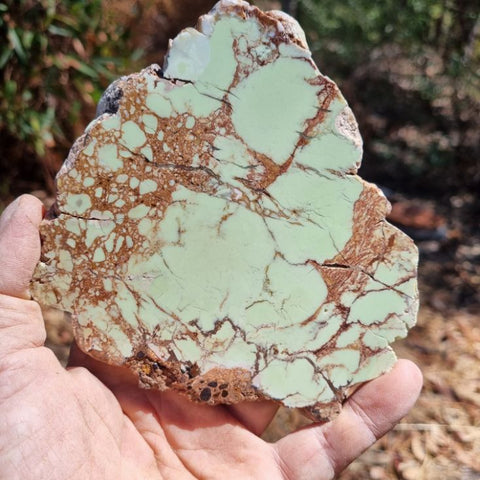 Polished Magnesite slab. MAP157