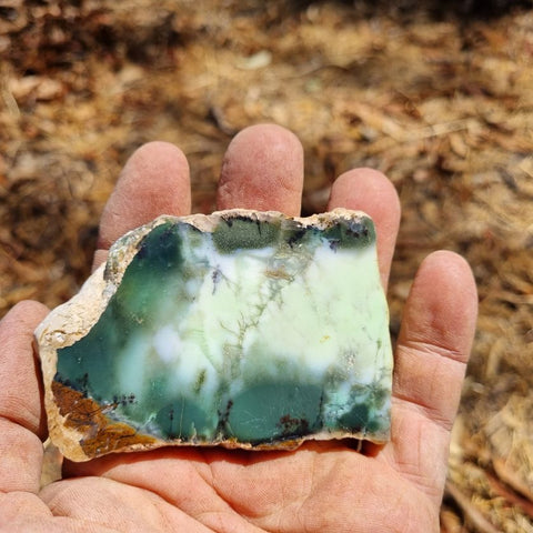 Polished Magnesite/ Chrysoprase slab. MAP159