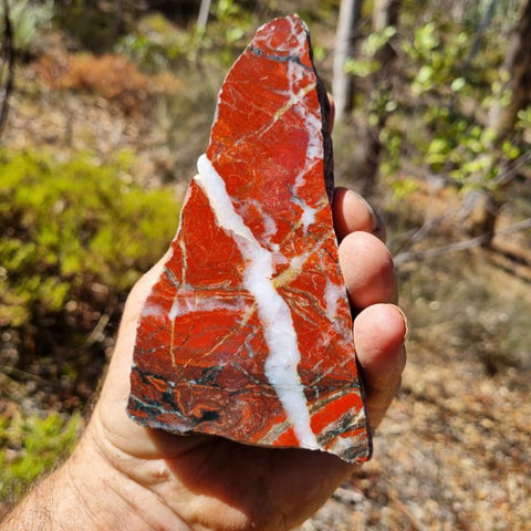 Starry Jasper polished display specimen SJ128