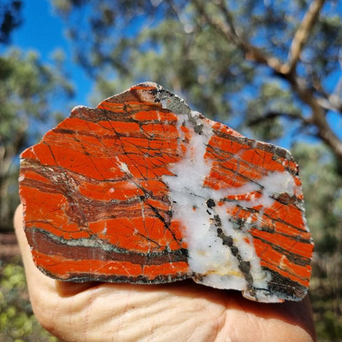 Starry Jasper polished display specimen SJ129