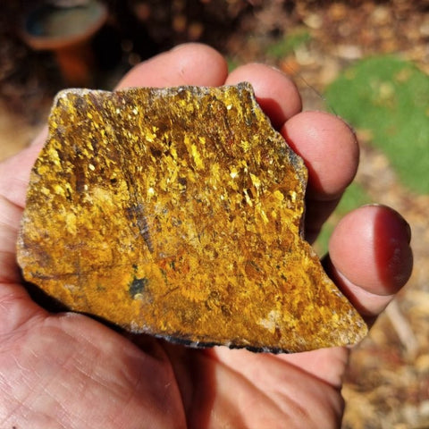 Polished Golden Amphibolite GA135