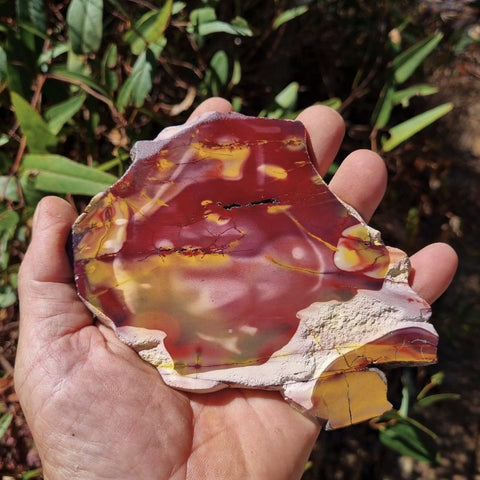 Polished Mookaite slab MK352