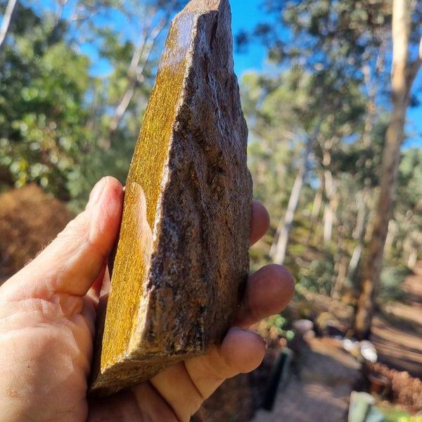 Polished Golden Amphibolite GA137