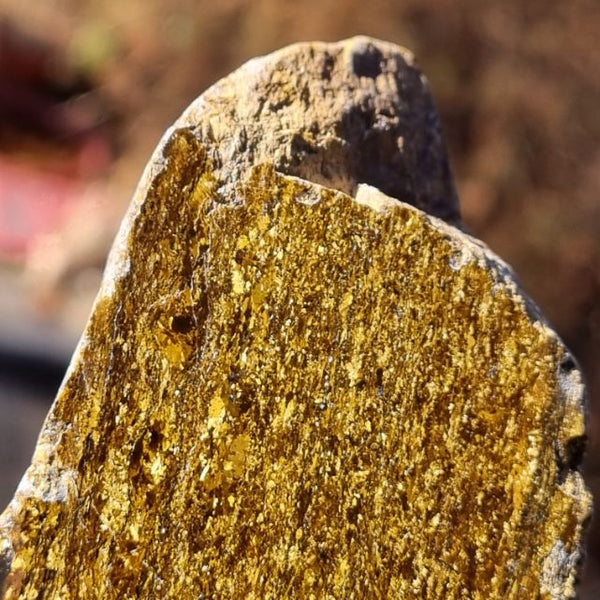 Polished Golden Amphibolite GA137