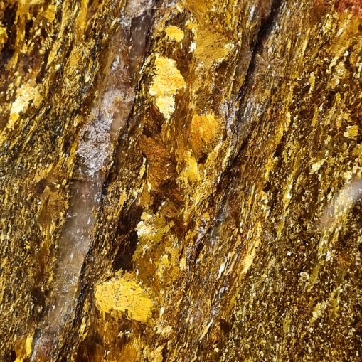 Polished Golden Amphibolite slab GA136