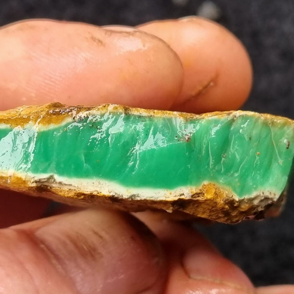 Variscite rough. VR427