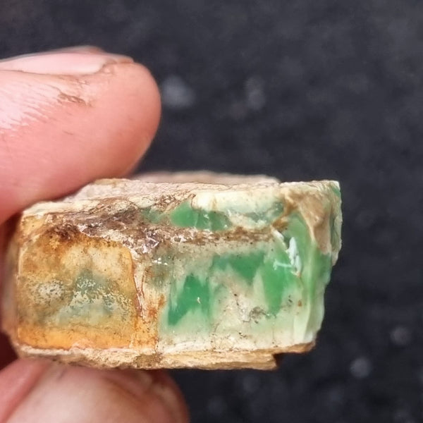 Variscite rough. VR428