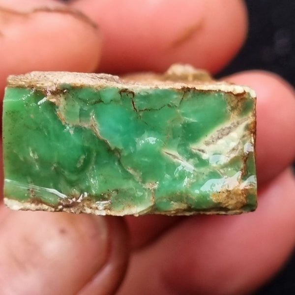 Variscite rough. VR428