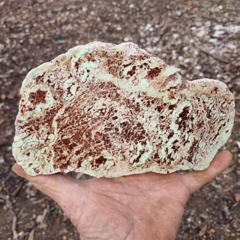 Polished Magnesite slab. MAP163