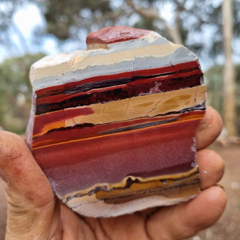 Sunset Jasper polished slab SU142