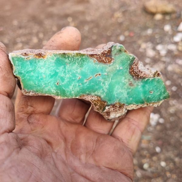 Polished Chrysoprase CH404