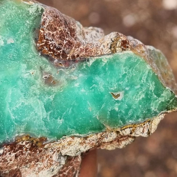 Polished Chrysoprase CH404