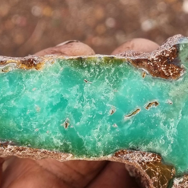 Polished Chrysoprase CH404