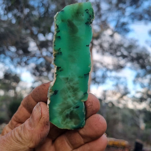 Polished Chrysoprase slab CH410