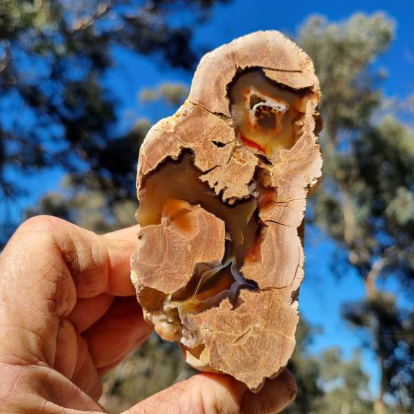 Polished Rainforest Jasper RFJ135